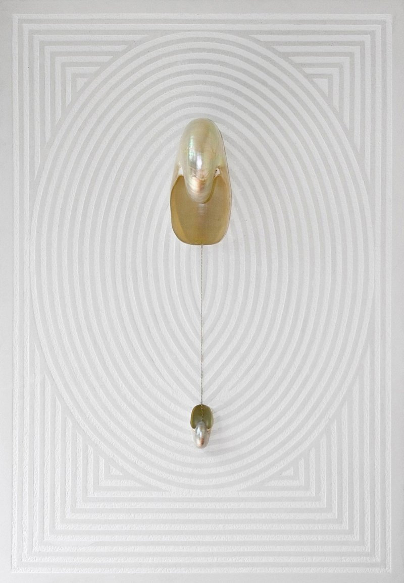 Elio Marchegiani - Le Belle Spoglie 2008