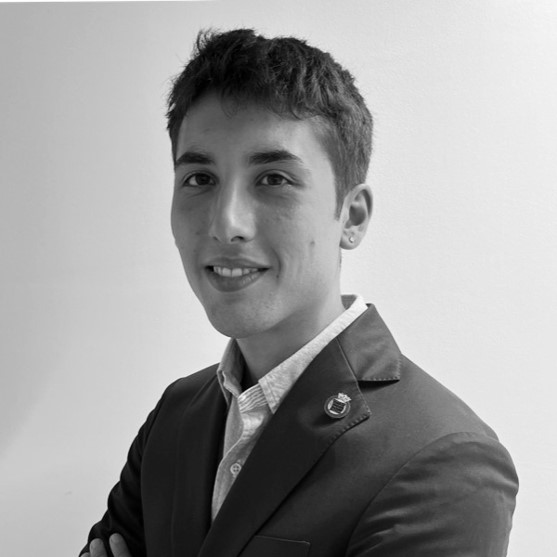 Giorgio Cugini - Projects Coordinator of counsel